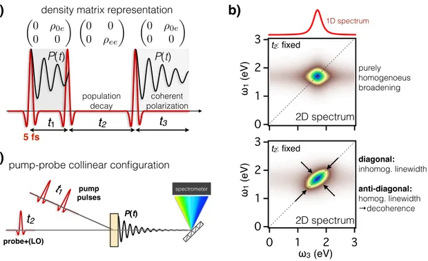 Figure 6. a) Cartoon of the 2D spectroscopy working principles. b) The panels report simulated 2D absorptive spectra for a 0.4 eV broad linewidth, representing the typical charge-transfer exciton in transition-metal oxides