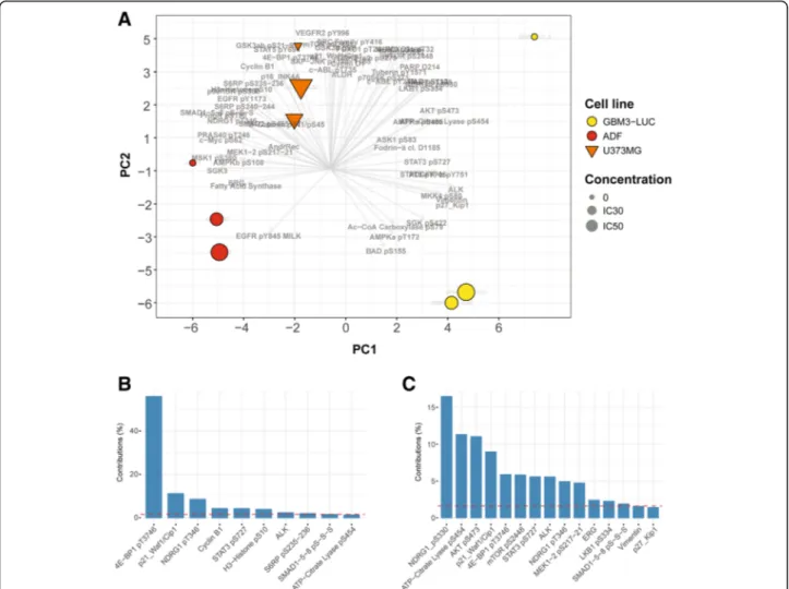 Fig. 1 Principal Component Analysis (PCA) of RPPA data. The subset of antibodies selected after thresholding the correlation indices between different time points, was used for PCA on the correlation matrix of data at a single time point (8 h)