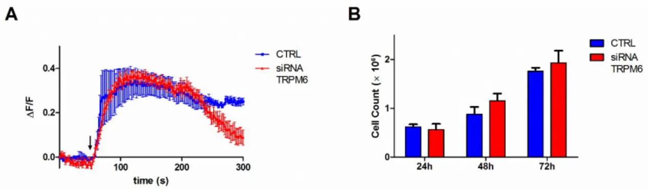 Figure 4. Contribution of TRPM6 to Mg 2+  influx and cell proliferation in colon cells