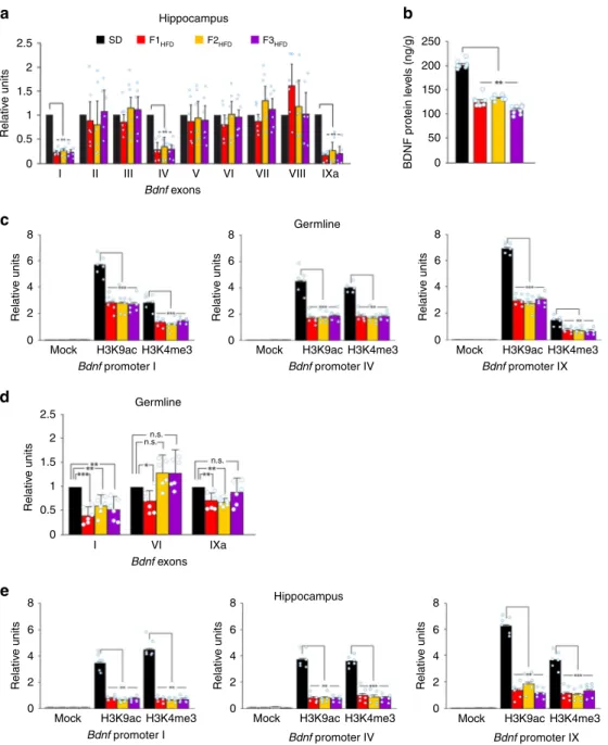 Fig. 4 Progenitor ’s HFD multigenerationally decreases Bdnf expression via epigenetic mechanisms