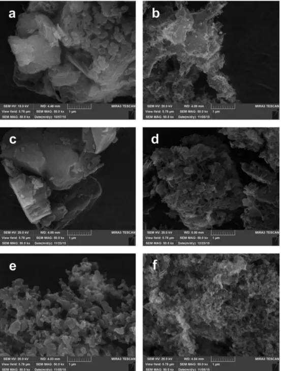 Fig. 3 SEM images collected on the g-C 3 N 4 materials prepared from DCD (a, b), MLM (c, d) and urea (e, f) by thermal condensation at 500  C (a, c, e), 700  C (b, d) and 650  C (f).