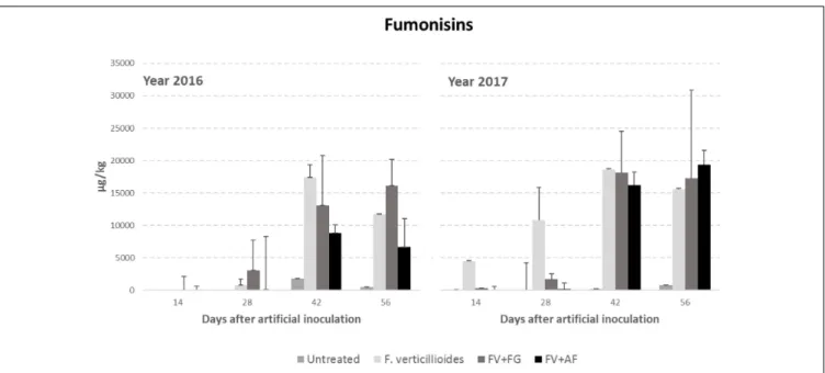 FIGURE 3 | Fumonisin B1+B2 (FBs) content in maize ears without artificial fungal inoculation (untreated) and artificially inoculated with Fusarium verticillioides only, F