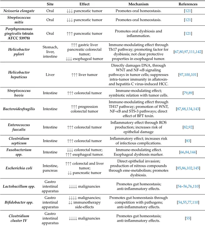 Table 1. An overview on the most studied gut microbioma species involved in GI cancer.