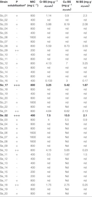 TABLE 2 | Screening of isolated strains for P solubilization ability, minimum inhibitory concentrations (MICs) of Cr, Cu, and Ni and biosorption (BS) toward the three testes metals.