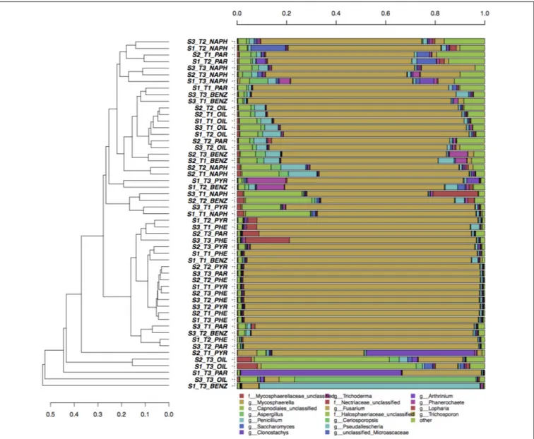 FIGURE 3 | Hierarchical clustering of bacterial ITS sequences classified at the genus level