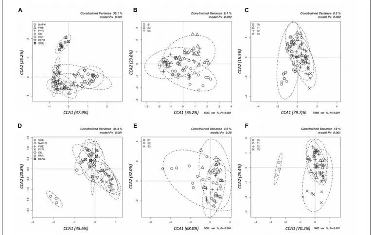 FIGURE 1 | Canonical correspondence analyses (CCAs) to test the significance of the effects of pollutant (A,D), soil depth (B,E), and time (C,F) on the total structure of bacterial and fungal communities as determined by the relative abundances of all the 