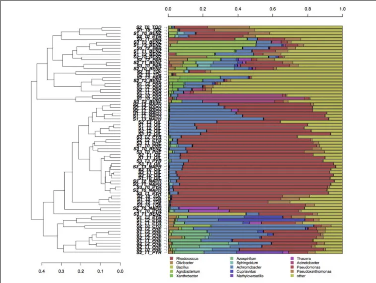 FIGURE 2 | Hierarchical clustering of bacterial 16S sequences classified at the genus level
