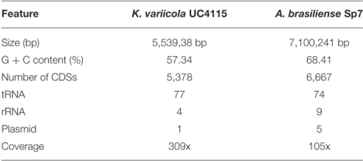 TABLE 2 | General features of K. variicola UC4115 and A. brasilense Sp7 genomes.