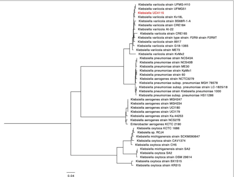 FIGURE 1 | Phylogeny of K. variicola UC4115 based on the analysis of PGFams.