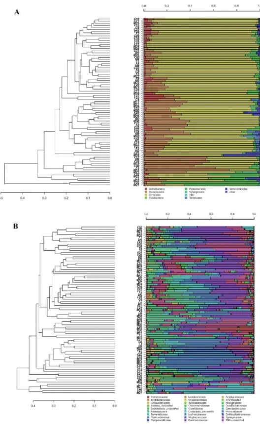 Figure 2.  Hierarchical cluster analysis of classified sequences at phylum (A) and family (B) classification levels