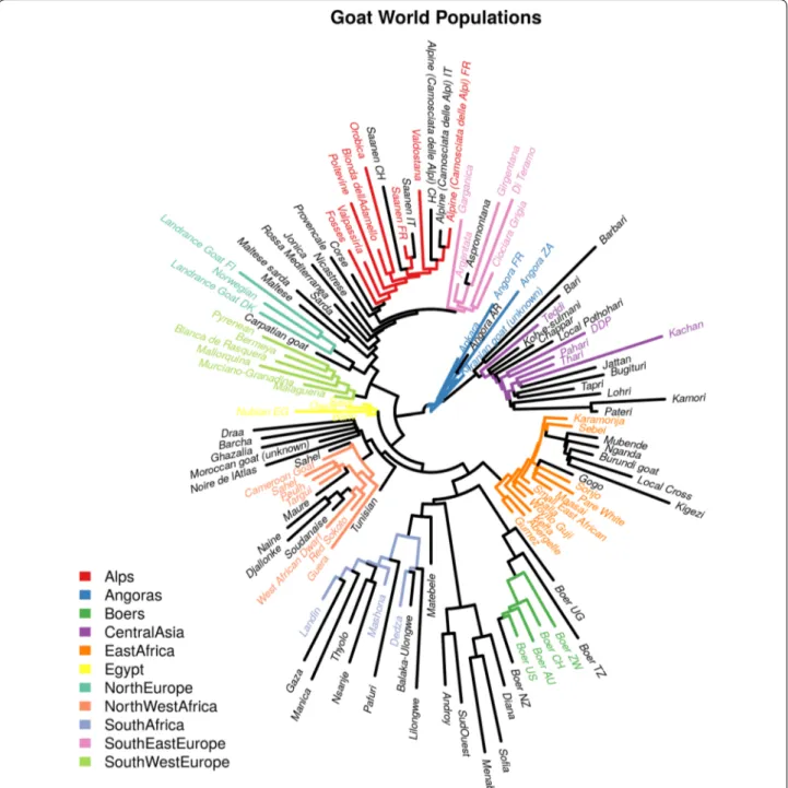 Fig. 1  Populations used to detect signatures of selection. Populations are color‑coded according to their identified geographical groups