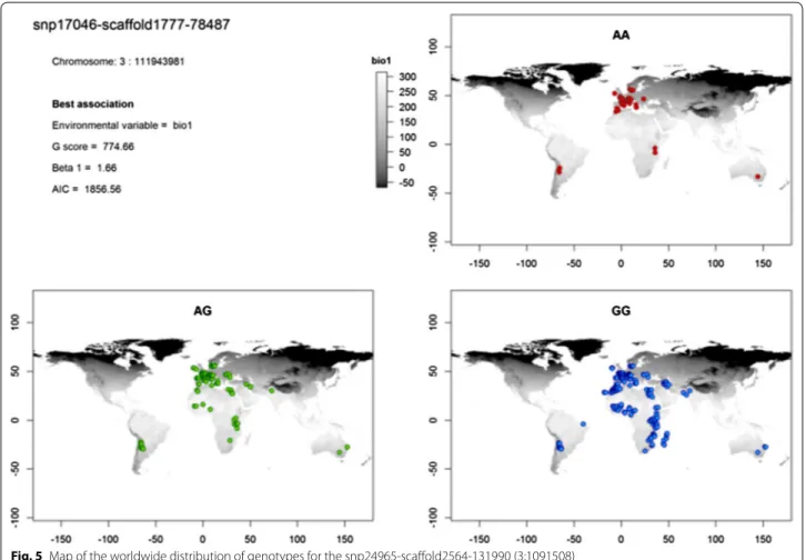 Fig. 5  Map of the worldwide distribution of genotypes for the snp24965‑scaffold2564‑131990 (3:1091508)