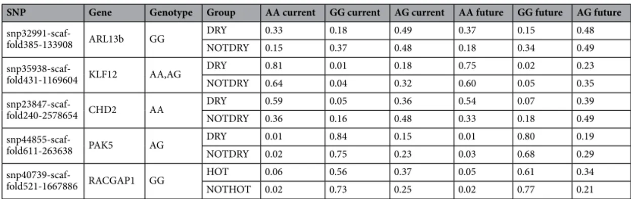 Table 3.   Predicted genotypic frequencies for the five polymorphisms recorded within genes identified to be  significantly different between the groups HOT/NOTHOT or DRY/NOTDRY.