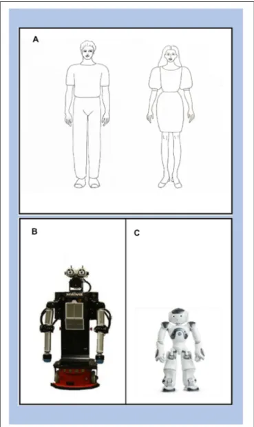 FIGURE 1 | The AMS images: (A) the Human condition (male and female), (B) Robovie robot, and (C) the NAO robot.