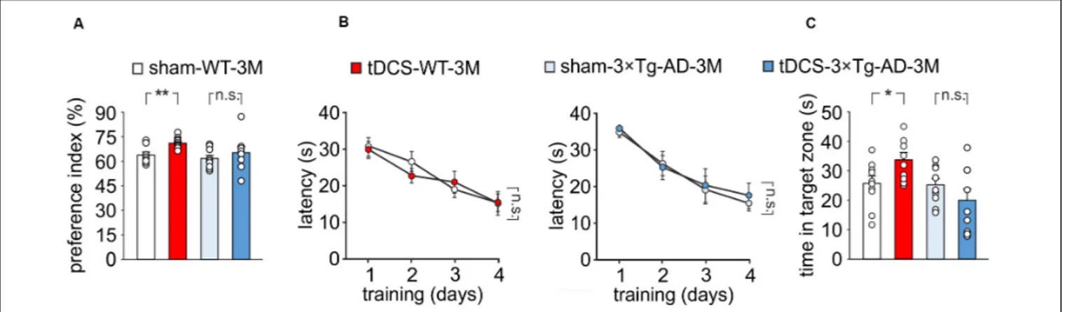 Figure 1B) were noted. In the probe test, the time spent in the target quadrant was similar in 3 × Tg-AD-3M and  WT-3M mice (28.6 ± 2.8 s vs