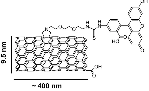 Figure  S2.  Structure  of  multi-walled  carbon  nanotubes  functionalized  with  fluorescein  isothiocyanate  (OX- (OX-MWCNT-FITC)