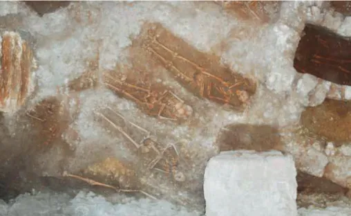 Figura 4: cimitero di San Michele, area 3000, sepolture della Fase 1 tagliate nella roccia