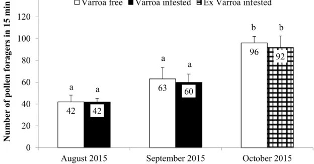 Figure 4. Effect of different infestation level of Varroa destructor (2.8 ± 0.4 % vs 0.1 ± 0.1 