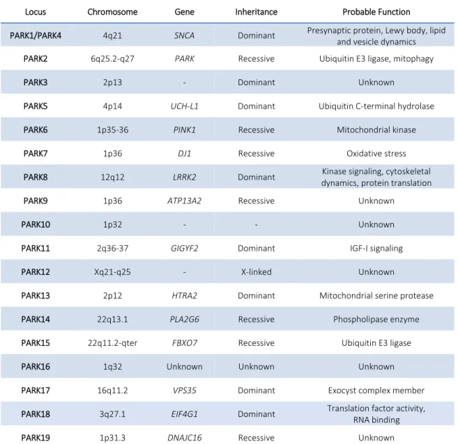 Table 4. Loci involved in monogenic forms of Parkinson’s disease (PD). 