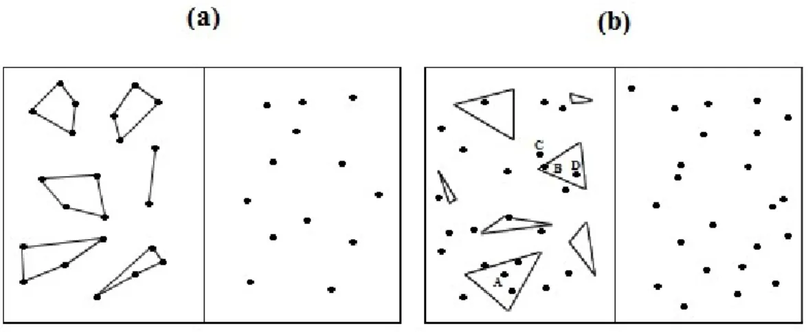 Fig.  2  -  Inserimento  di  informazioni  strutturali  di  tipo  poligonale  e  sottostima  della numerosità relativa