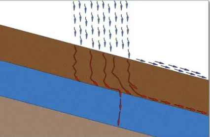 Figura 1.2.2: Lo strato idrorepellente impedisce l’infiltrazione dell’acqua e causa scorrimento superficiale (ridisegnato da DeBano, 1969a e 1969b; Leone e Lovreglio, 2011).