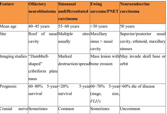 Table 5: Features for differential diagnosis  Feature  Olfactory  neuroblastoma  Sinonasal  undifferentiated  carcinoma  Ewing  sarcoma/PNET  Neuroendocrine carcinoma 