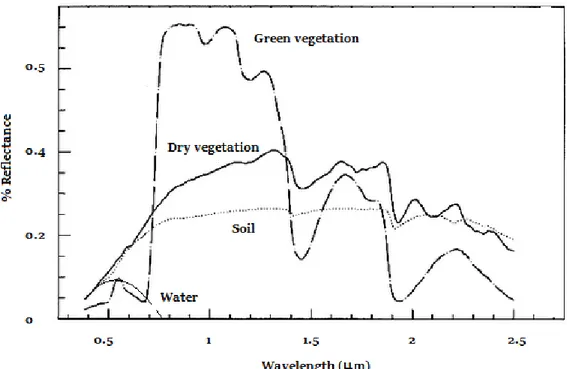 Figure 2.5: Typical spectral reflectance curves for vegetation, soil and water.
