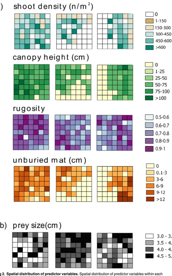Fig 2. Spatial distribution of predictor variables. Spatial distribution of predictor variables within each landscape (L1, L2 and L3): structural attributes (shoot density, canopy height, rugosity and unburied mat,) and prey size.