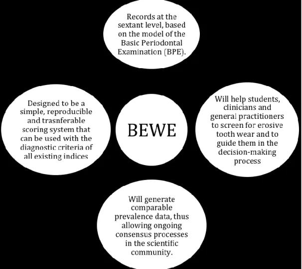 Figure 1. Characteristics of the BEWE 