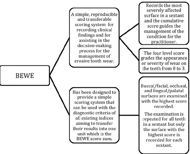 Figure 2. Description of the BEWE methodology.  