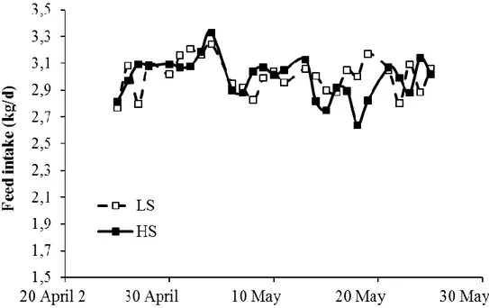 Figure  1.  Evolution  of  feed  intake  (kg/d)  in  mid-lactating  goats  fed  high-starch  (HS)  and low-starch (LS) diets during the experimental period