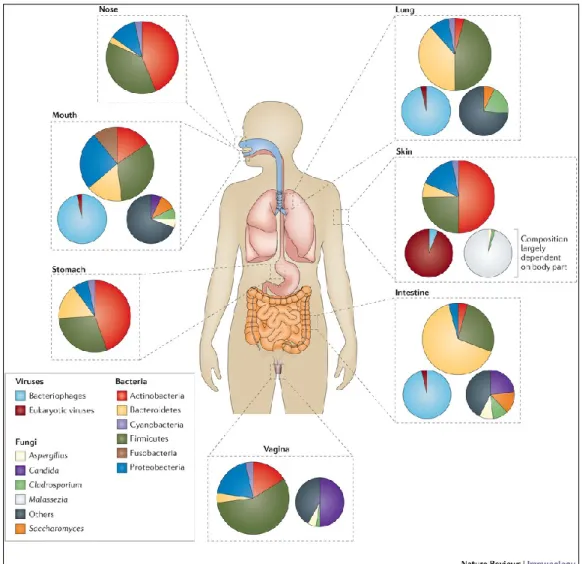 Figure 1. The figure shows the relative abundance of bacterial, fungal and viral communities at different body sites
