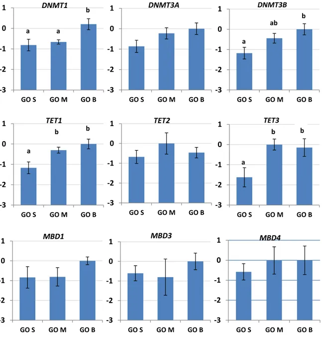 Figure 5.2: Relative expression of  DNMT1, DNMT3A,  DNMT3B, TET1,  TET2,  TET3, MBD1, MBD3, and  MBD4 in  ovine  GO at different diameter (GOS 70/90 µm, GOM 90/110 µm, GOB 110/130 µm) derived from  P animals