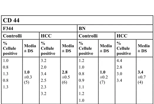 Tabella 2.  Espressione di CD44 valutata come percentuale di cellule positive  rispetto  al  totale  di  cellule  contate,  sia  in  sezioni  di  controlli  che  di  HCC  nei  ceppi di ratto F344 e BN