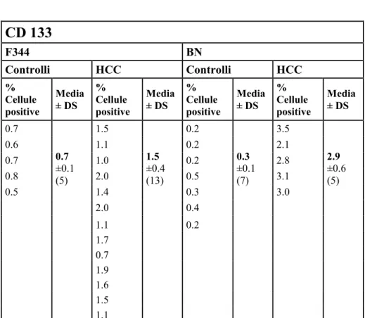 Tabella 3.  Espressione di CD133 valutata come percentuale di cellule positive  rispetto al totale di cellule contate sia in sezioni di controlli che di HCC nei ceppi  di ratto F344 e BN