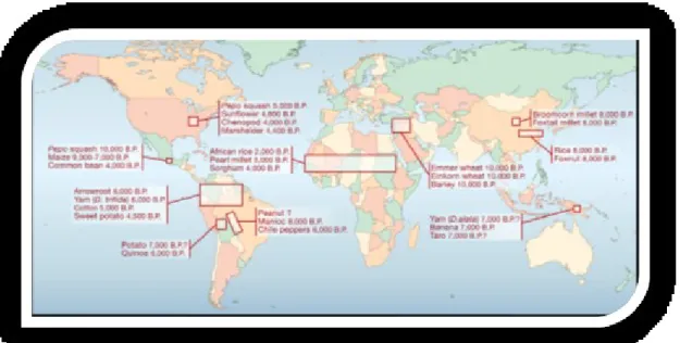 Figure 2.1. – Distribution of the recognized independent centers of crop domestication  (Doelby et al., 2006)