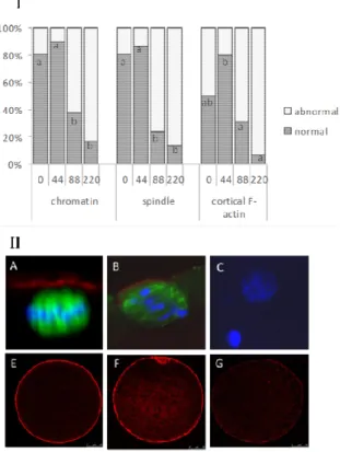 Fig. 4.15 Confocal analysis showing the effect of different concentrations of nanoceria during in  vitro maturation on chromatin, spindle and cortical F-actin of prepubertal ovine oocytes