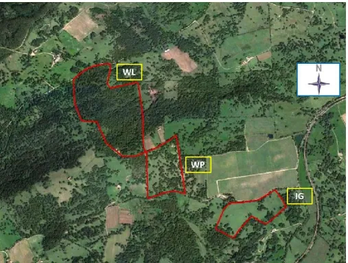 Figure 1: Aereal photo of ampling sites in Berchidda 