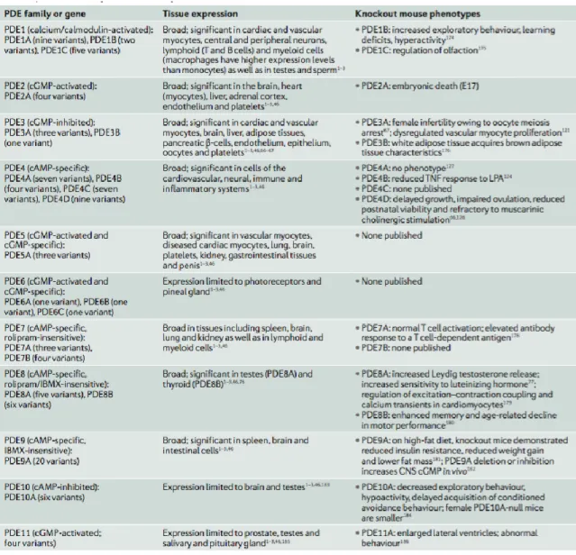 Tabella 1: Espressione tissutale delle PDE e impatto sui topi knockout (da Maurice et al., 2014) 