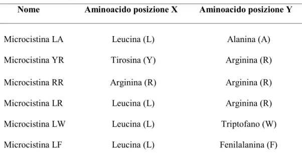 Tabella 2.  Esempi di alcune microcistine con i rispettivi aminoacidi sostituenti in  posizione  X e Y  