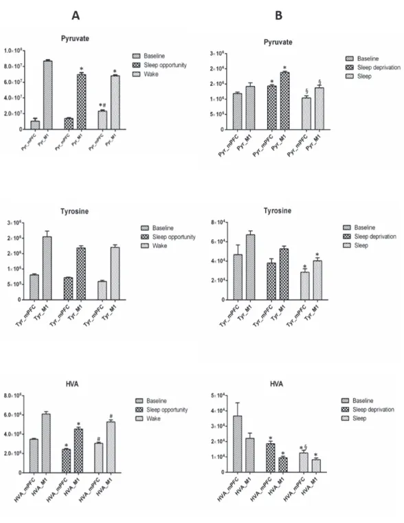 Figura 14. Variazione dei livelli di Piruvato, Tirosina e Acido Omovanillico (HVA) durante gli  esperimenti di A) Sleep e B) Sleep Deprivation