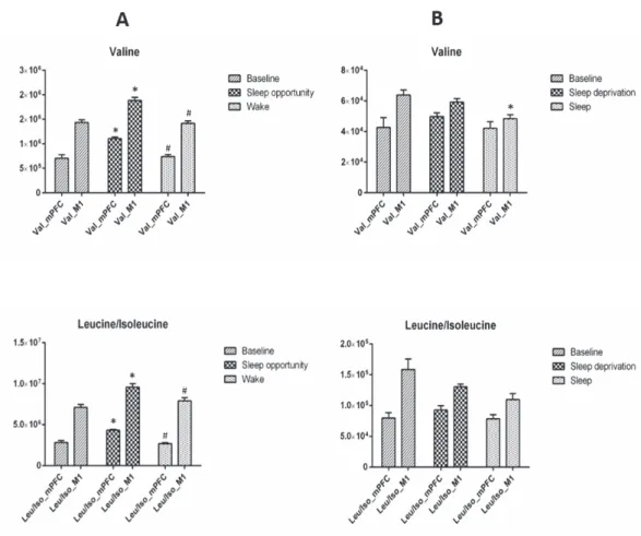 Figura 16. Variazione dei livelli di Valina e Leucina/Isoleucina durante gli esperimenti di A)  Sleep e B) Sleep Deprivation