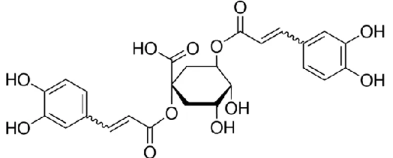 Figure 4 - 1,5 O dicaffeoylquininic Acid (CAS 19870-46-3) 