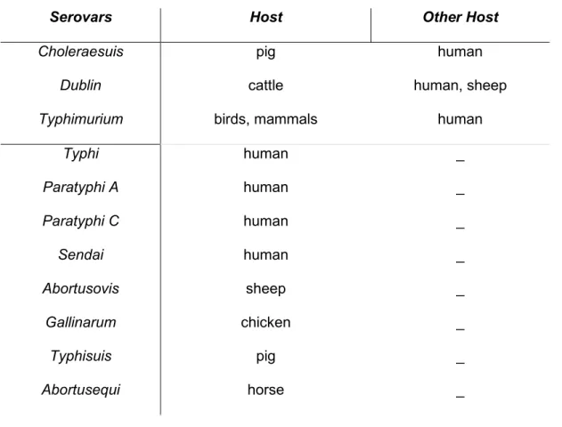 Table 2. Salmonella classification based on host specificity. 