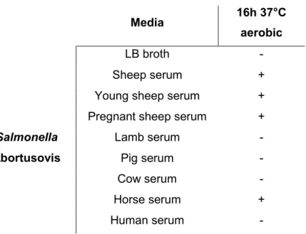 Table 6. Expression of Salmonella Abortusovis flagella in vitro using different serum