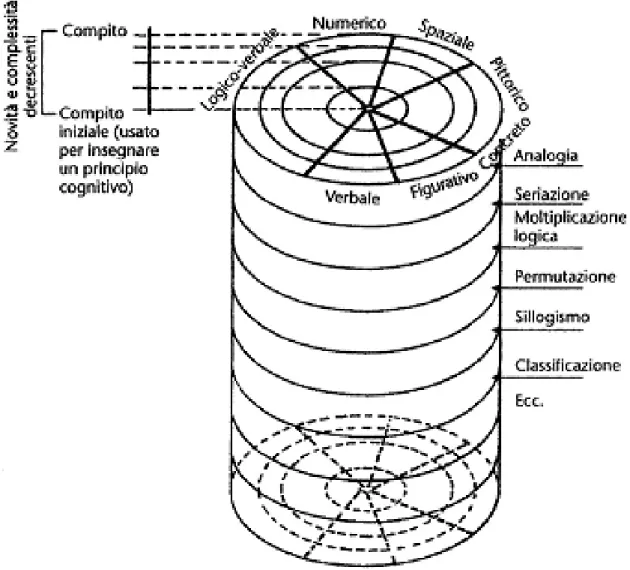 Fig.  5.  Modello  delle  operazioni  cognitive  (Feuerstein  R.,  Feuerstein  R.S.,  Falik,  Rand, 2013)