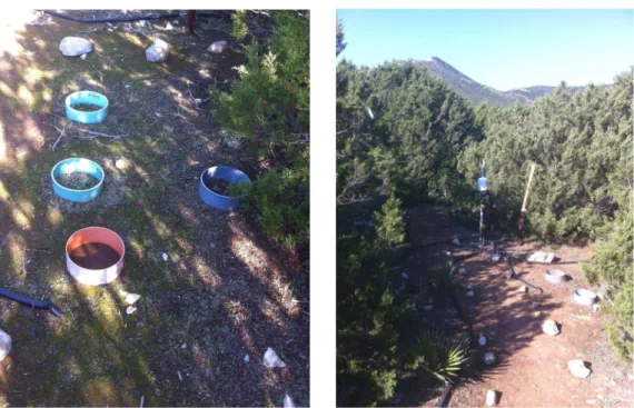 Figure 2.7: Chamber measurements location at Capo Caccia site (left) and overview of the measurements area (right).