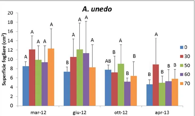 Figura  15.  Superficie  fogliare  nel  Corbezzolo  (A.  unedo  L.).  Le  differenze  sono  statisticamente significative per p ≤ 0,05