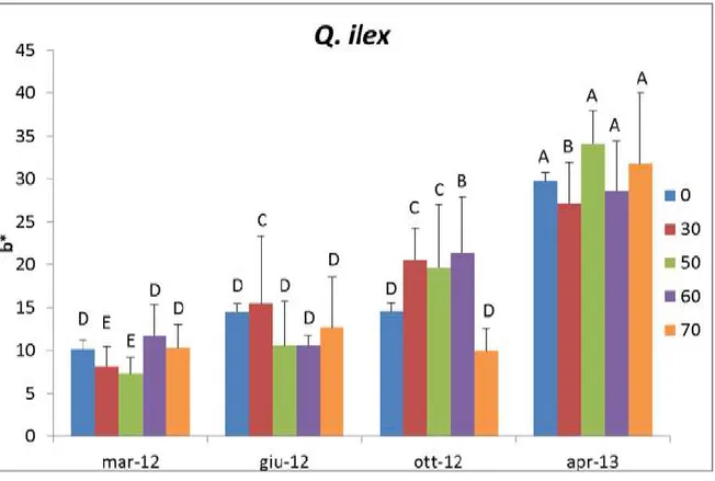 Figura  23.  Colorimetrie.  Valori  di  b*  nel  Leccio  (Q.  ilex  L.).  Le  differenze  sono  statisticamente significative per p ≤ 0,05