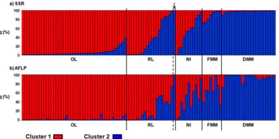 Fig 3. Population structure at accession level. Average percentages of membership to cluster 1 (q 1 , red) and cluster 2 (q 2 , blue) for each of the 104 accessions for the SSR (a) and AFLP (b) molecular markers